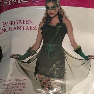 Evergreen Enchantress Halloween Costume